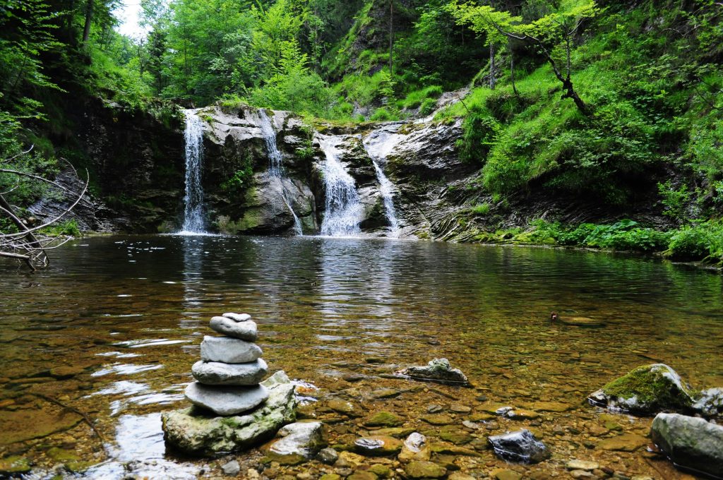 Une photographie de nature